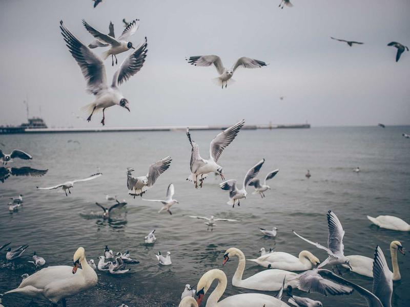 accessibility screenshot 2