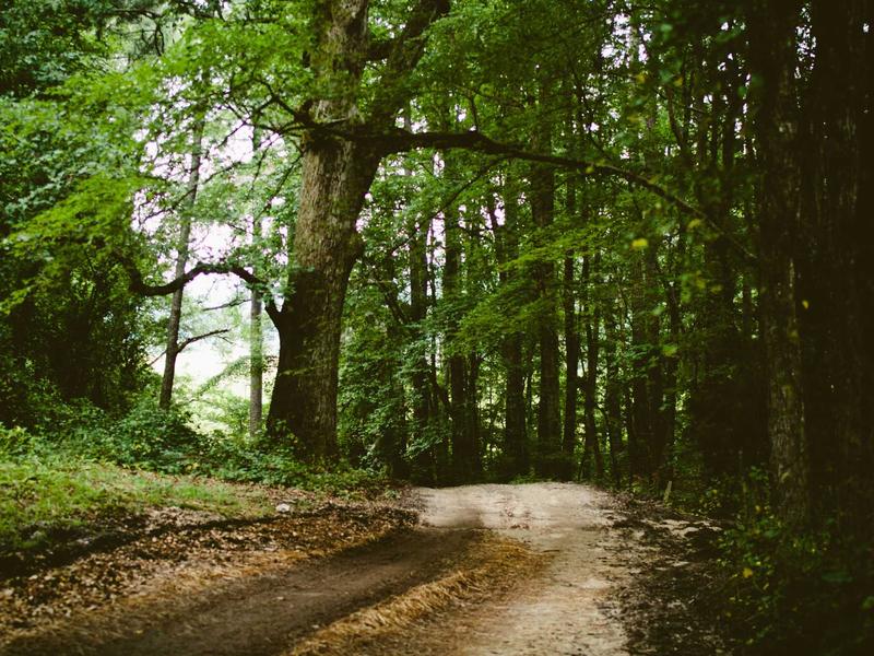 sudoku memory improvement screenshot 3